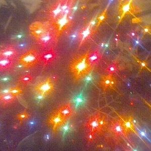 Meet your Posher, Eva